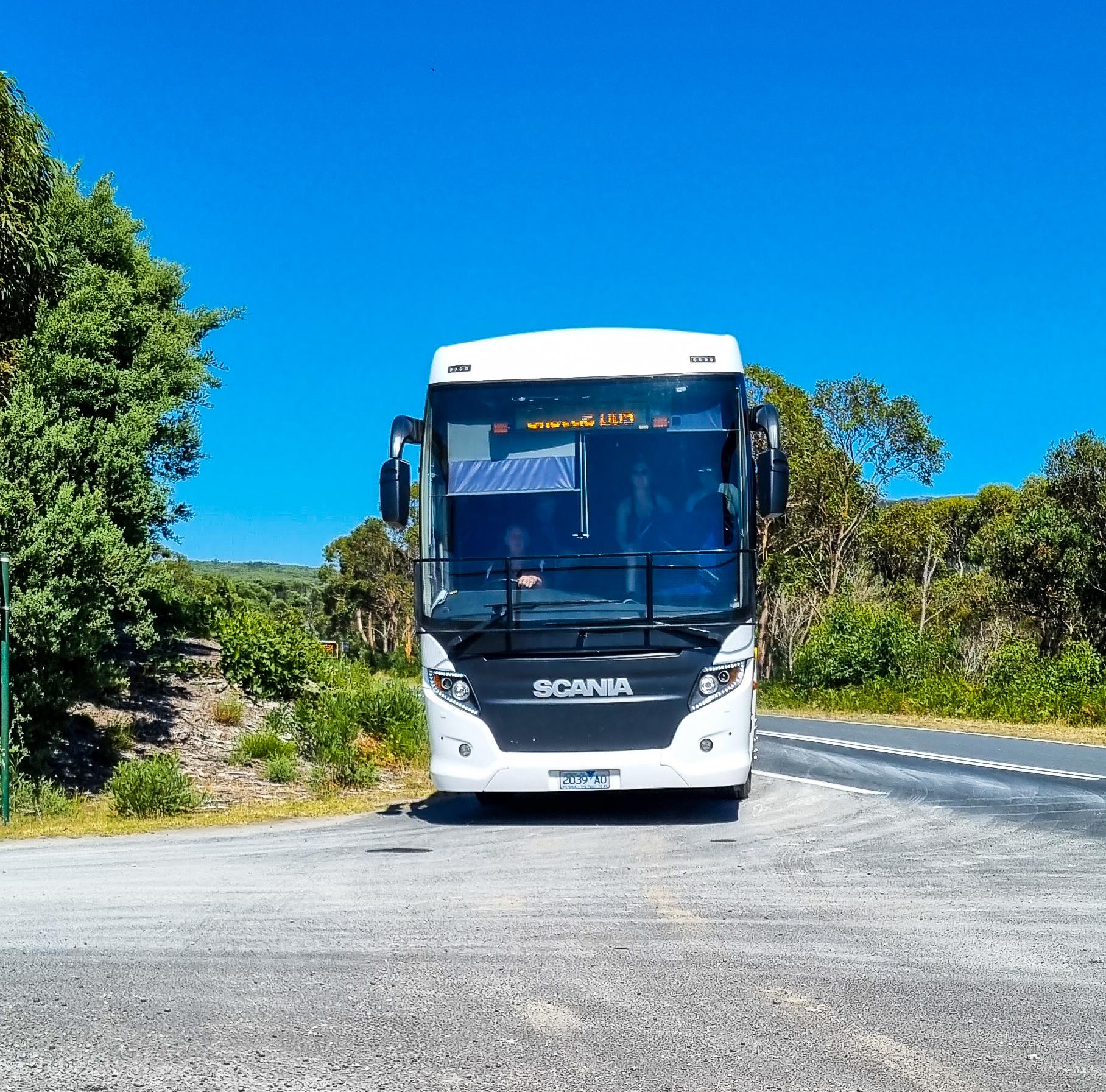 Free shuttle bus
